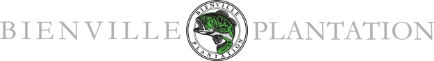 bienville logo